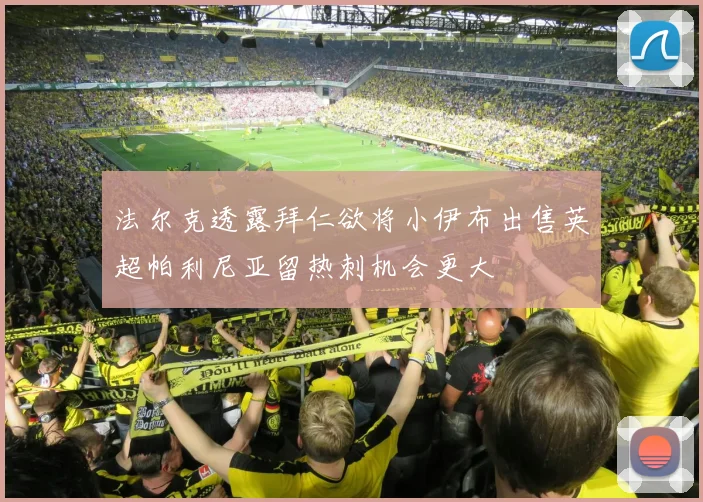法尔克透露拜仁欲将小伊布出售英超帕利尼亚留热刺机会更大